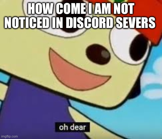 Parappa Oh Dear | HOW COME I AM NOT NOTICED IN DISCORD SEVERS | image tagged in parappa oh dear,idk | made w/ Imgflip meme maker