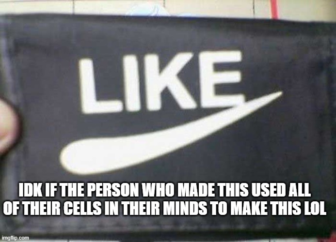 Ya know what I mean? | IDK IF THE PERSON WHO MADE THIS USED ALL OF THEIR CELLS IN THEIR MINDS TO MAKE THIS LOL | image tagged in fun | made w/ Imgflip meme maker