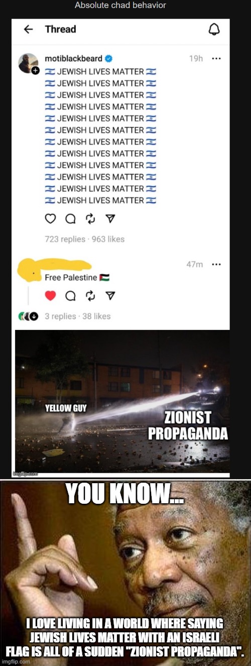 The world we live in, huh? And yet they will claim this meme as "Islamophobic" | YOU KNOW... I LOVE LIVING IN A WORLD WHERE SAYING JEWISH LIVES MATTER WITH AN ISRAELI FLAG IS ALL OF A SUDDEN "ZIONIST PROPAGANDA". | image tagged in morgan freeman,israel jews,israel,stupid people | made w/ Imgflip meme maker