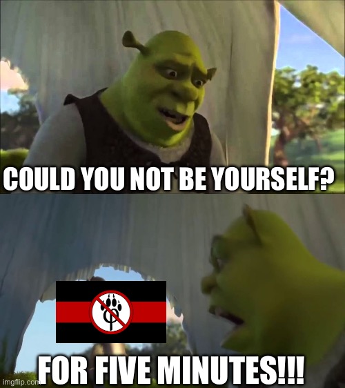 shrek five minutes | COULD YOU NOT BE YOURSELF? FOR FIVE MINUTES!!! | image tagged in shrek five minutes | made w/ Imgflip meme maker