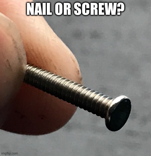 Nail or screw | NAIL OR SCREW? | image tagged in memes,nailed it,screw you | made w/ Imgflip meme maker