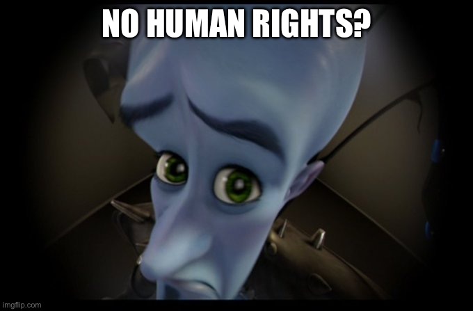 Megamind Peeking | NO HUMAN RIGHTS? | image tagged in megamind peeking | made w/ Imgflip meme maker
