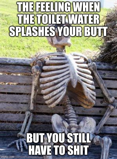 Based on real experiences | THE FEELING WHEN THE TOILET WATER SPLASHES YOUR BUTT; BUT YOU STILL HAVE TO SHIT | image tagged in memes,waiting skeleton | made w/ Imgflip meme maker
