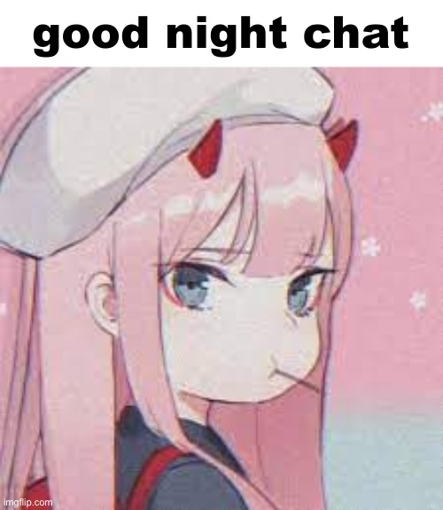 Frost is making me not sad so gn | image tagged in zero two good night chat | made w/ Imgflip meme maker