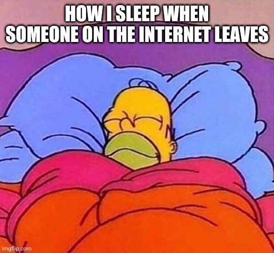 Homer Simpson sleeping peacefully | HOW I SLEEP WHEN SOMEONE ON THE INTERNET LEAVES | image tagged in homer simpson sleeping peacefully | made w/ Imgflip meme maker