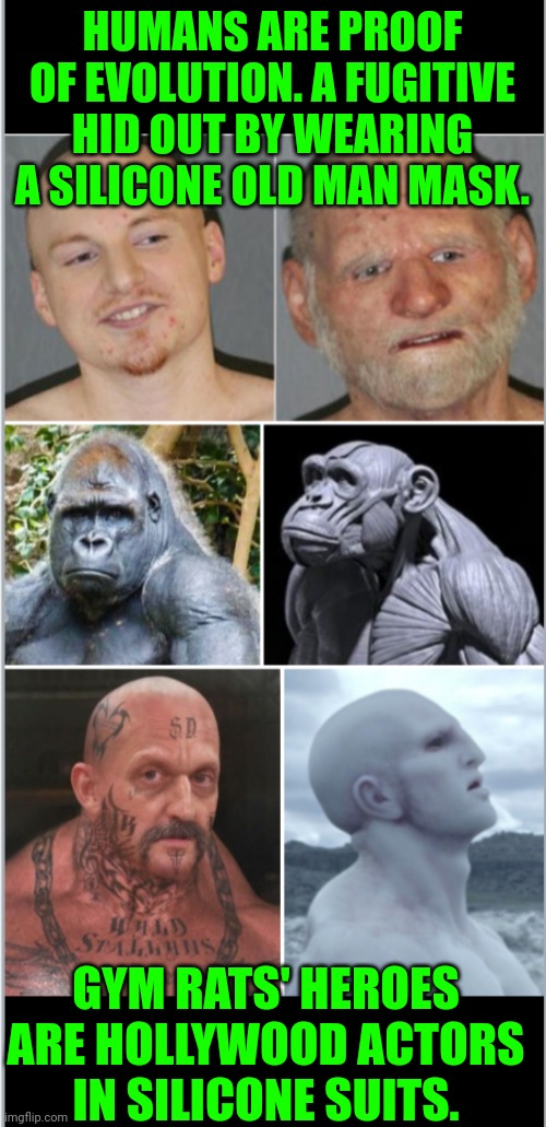 Funny | HUMANS ARE PROOF OF EVOLUTION. A FUGITIVE HID OUT BY WEARING A SILICONE OLD MAN MASK. GYM RATS' HEROES ARE HOLLYWOOD ACTORS IN SILICONE SUITS. | image tagged in funny | made w/ Imgflip meme maker