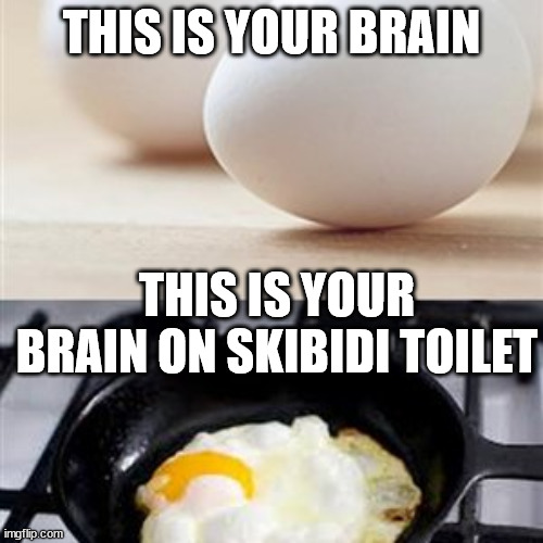 Brain, Brain on Drugs (egg) | THIS IS YOUR BRAIN; THIS IS YOUR BRAIN ON SKIBIDI TOILET | image tagged in brain brain on drugs egg | made w/ Imgflip meme maker