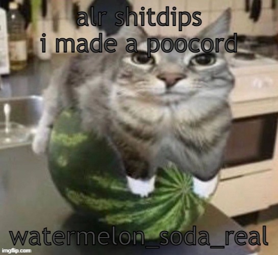 time to be groomed online | alr shitdips i made a poocord; watermelon_soda_real | image tagged in funny car | made w/ Imgflip meme maker