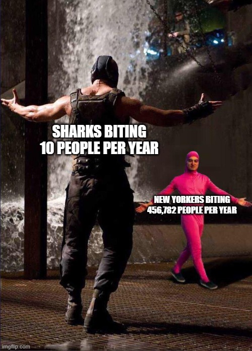 New York lol. | SHARKS BITING 10 PEOPLE PER YEAR; NEW YORKERS BITING 456,782 PEOPLE PER YEAR | image tagged in pink guy vs bane,new york,shark,bite,mwahahaha | made w/ Imgflip meme maker