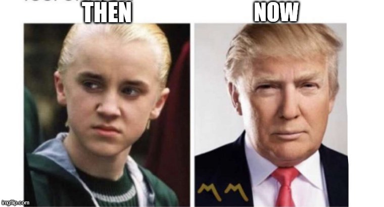 Theory | THEN; NOW | image tagged in msmg | made w/ Imgflip meme maker