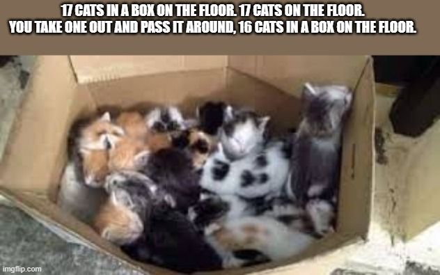 memes by Brad 17 cats in a box on the floor - humor | 17 CATS IN A BOX ON THE FLOOR. 17 CATS ON THE FLOOR. YOU TAKE ONE OUT AND PASS IT AROUND, 16 CATS IN A BOX ON THE FLOOR. | image tagged in cats,funny,funny cat memes,kittens,humor | made w/ Imgflip meme maker