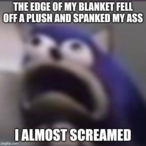 The room is pitch black | THE EDGE OF MY BLANKET FELL OFF A PLUSH AND SPANKED MY ASS; I ALMOST SCREAMED | image tagged in distress | made w/ Imgflip meme maker