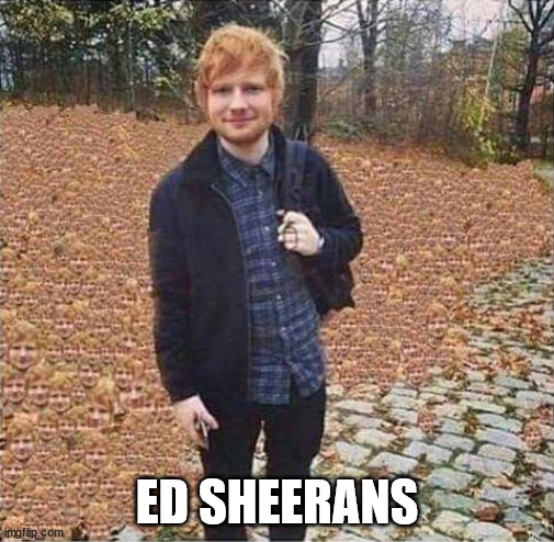 why are there so many | ED SHEERANS | image tagged in msmg | made w/ Imgflip meme maker