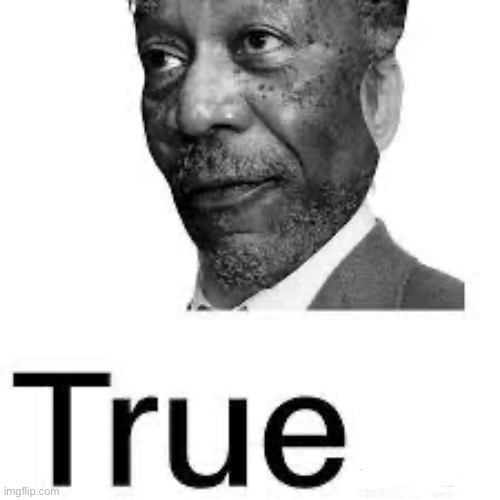 Morgan Freeman True | image tagged in morgan freeman true | made w/ Imgflip meme maker