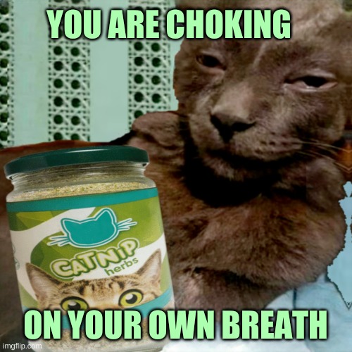 Shit Poster 4 Lyfe | YOU ARE CHOKING ON YOUR OWN BREATH | image tagged in shit poster 4 lyfe | made w/ Imgflip meme maker
