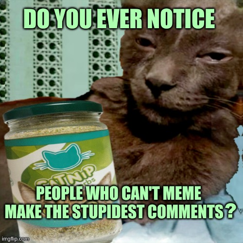 So, you can't meme? | DO YOU EVER NOTICE; PEOPLE WHO CAN'T MEME MAKE THE STUPIDEST COMMENTS; ? | image tagged in shit poster 4 lyfe,you can't meme,you can't defeat me,shitpost,cat,stupid people | made w/ Imgflip meme maker