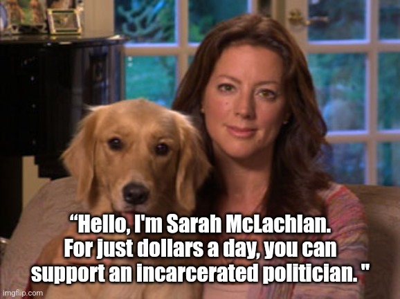 McLachlan Help Politician | “Hello, I'm Sarah McLachlan. For just dollars a day, you can support an incarcerated politician. " | image tagged in sarah mclachlan,meme,funny meme,political meme | made w/ Imgflip meme maker