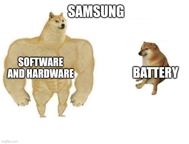 Samsung phones | SAMSUNG; SOFTWARE AND HARDWARE; BATTERY | image tagged in dog comparison | made w/ Imgflip meme maker