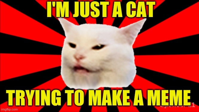Tryna Sneak Onto Front Page | I'M JUST A CAT; TRYING TO MAKE A MEME | image tagged in starburst smudge,smudge the cat,smudge,cat meme,front page,upvote if you agree | made w/ Imgflip meme maker