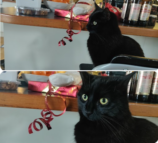 Pondering Cat Blank Meme Template