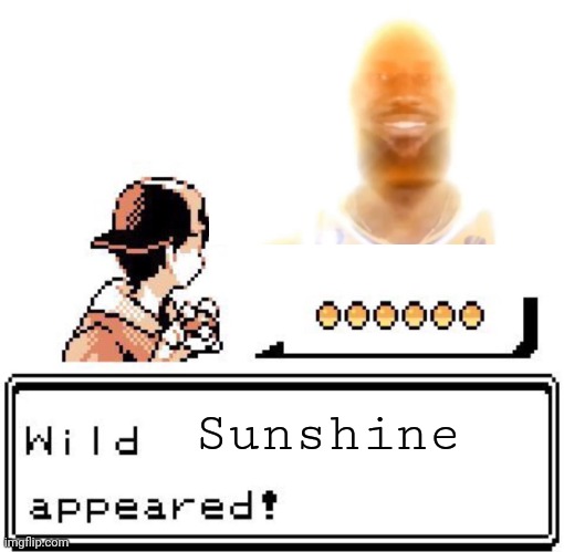 The most intense Pokemon battle i have ever had | Sunshine | image tagged in blank wild pokemon appears | made w/ Imgflip meme maker