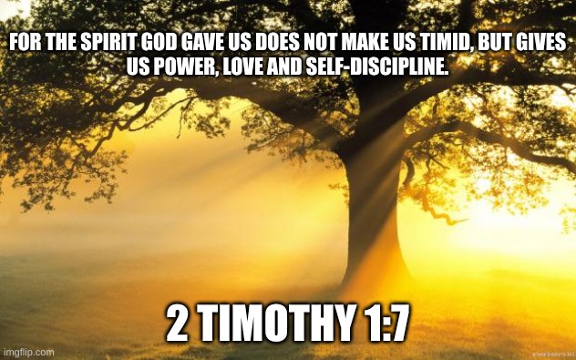 nature | FOR THE SPIRIT GOD GAVE US DOES NOT MAKE US TIMID, BUT GIVES US POWER, LOVE AND SELF-DISCIPLINE. 2 TIMOTHY 1:7 | image tagged in nature | made w/ Imgflip meme maker