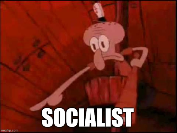 Squidward pointing | SOCIALIST | image tagged in squidward pointing | made w/ Imgflip meme maker