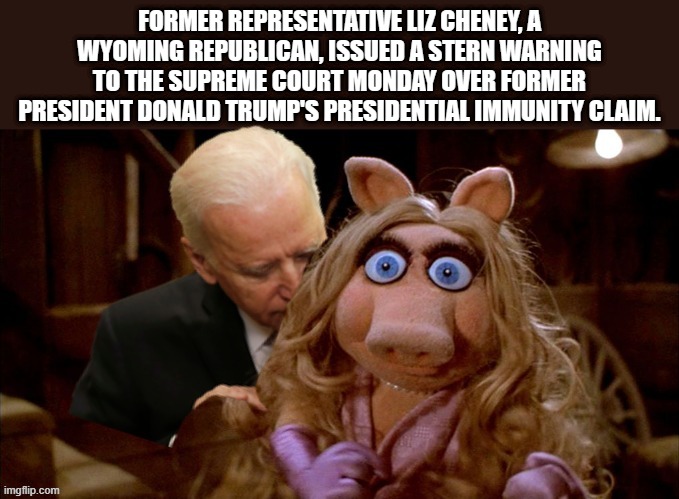 Rino's still Shilling for JOE. | FORMER REPRESENTATIVE LIZ CHENEY, A WYOMING REPUBLICAN, ISSUED A STERN WARNING TO THE SUPREME COURT MONDAY OVER FORMER PRESIDENT DONALD TRUMP'S PRESIDENTIAL IMMUNITY CLAIM. | image tagged in democrats,nwo | made w/ Imgflip meme maker