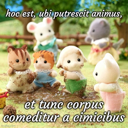 Bitch you live like this | hoc est, ubi putrescit animus, et tunc corpus comeditur a cimicibus | image tagged in sylvanian family | made w/ Imgflip meme maker