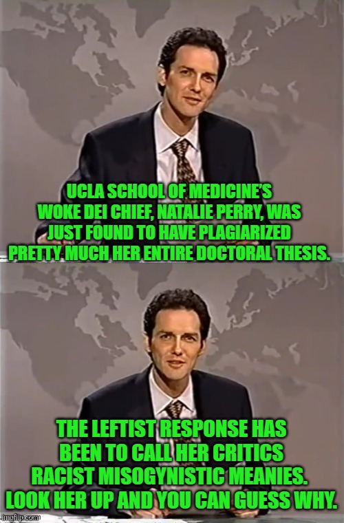 Do you even really need to look her up? | UCLA SCHOOL OF MEDICINE’S WOKE DEI CHIEF, NATALIE PERRY, WAS JUST FOUND TO HAVE PLAGIARIZED PRETTY MUCH HER ENTIRE DOCTORAL THESIS. THE LEFTIST RESPONSE HAS BEEN TO CALL HER CRITICS RACIST MISOGYNISTIC MEANIES.  LOOK HER UP AND YOU CAN GUESS WHY. | image tagged in weekend update with norm | made w/ Imgflip meme maker