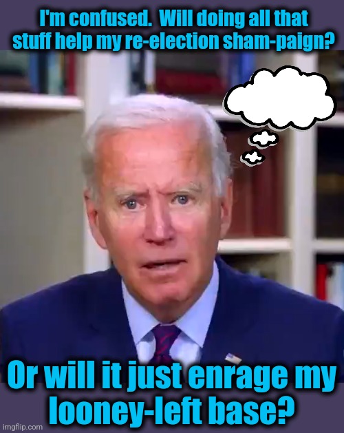 Slow Joe Biden Dementia Face | I'm confused.  Will doing all that stuff help my re-election sham-paign? Or will it just enrage my
looney-left base? | image tagged in slow joe biden dementia face | made w/ Imgflip meme maker