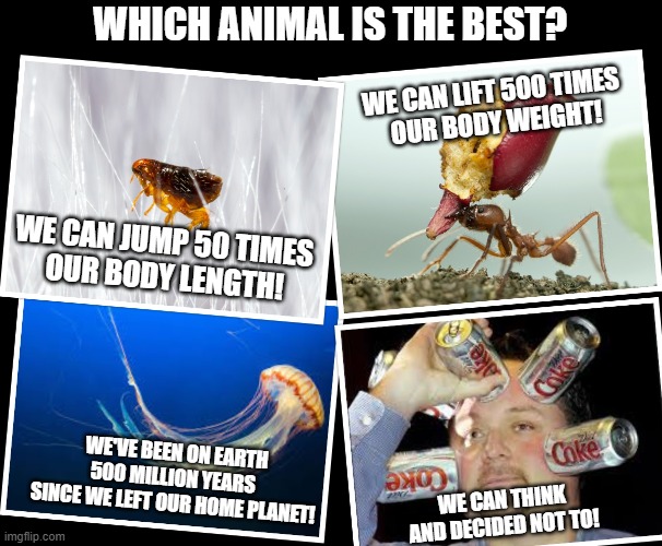 Which animal is the best? | WHICH ANIMAL IS THE BEST? WE CAN LIFT 500 TIMES 
OUR BODY WEIGHT! WE CAN JUMP 50 TIMES 
OUR BODY LENGTH! WE'VE BEEN ON EARTH
500 MILLION YEARS 
SINCE WE LEFT OUR HOME PLANET! WE CAN THINK
AND DECIDED NOT TO! | image tagged in stupid people | made w/ Imgflip meme maker