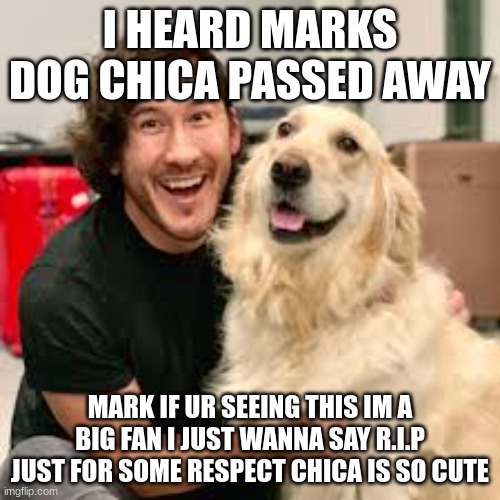 I HEARD MARKS DOG CHICA PASSED AWAY; MARK IF UR SEEING THIS IM A BIG FAN I JUST WANNA SAY R.I.P JUST FOR SOME RESPECT CHICA IS SO CUTE | made w/ Imgflip meme maker