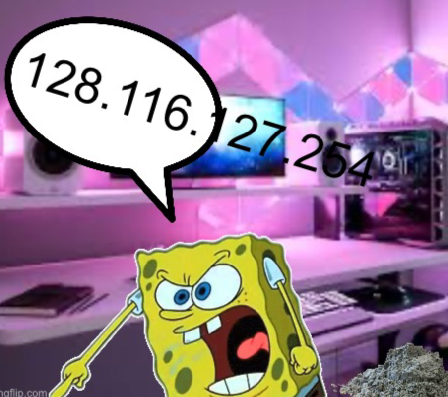 spongebob ip address (legoman owns og image) Blank Meme Template