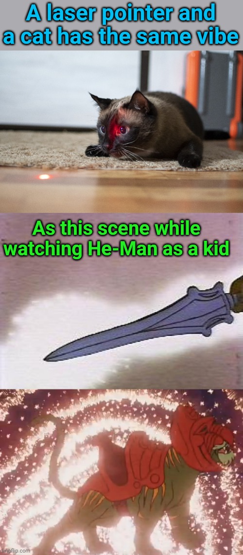 It's true - instant murder mode for cats | A laser pointer and a cat has the same vibe; As this scene while watching He-Man as a kid | image tagged in cats,laser,points,heman | made w/ Imgflip meme maker