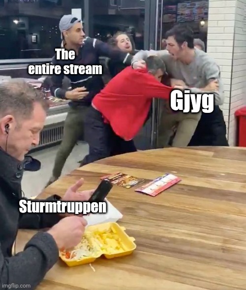 Fighting | The entire stream Gjyg Sturmtruppen | image tagged in fighting | made w/ Imgflip meme maker