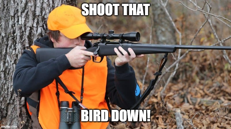 SHOOT THAT BIRD DOWN! | made w/ Imgflip meme maker