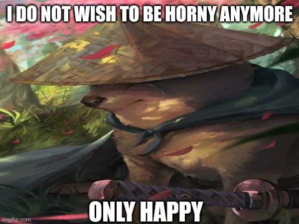 I DO NOT WISH TO BE HORNY ANYMORE; ONLY HAPPY | image tagged in shiba inu,doge,samurai | made w/ Imgflip meme maker