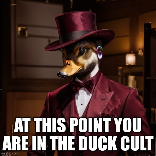 He has reached his final form | AT THIS POINT YOU ARE IN THE DUCK CULT | image tagged in he has reached his final form | made w/ Imgflip meme maker