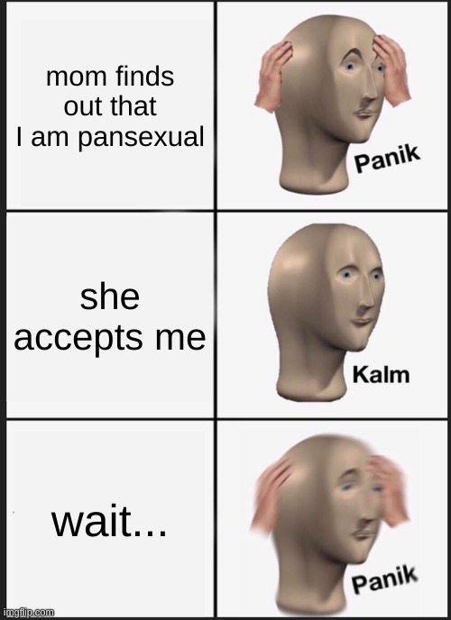 me | mom finds out that I am pansexual; she accepts me; wait... | image tagged in memes,panik kalm panik | made w/ Imgflip meme maker