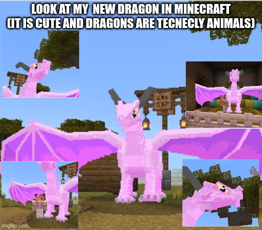 LOOK AT MY  NEW DRAGON IN MINECRAFT (IT IS CUTE AND DRAGONS ARE TECNECLY ANIMALS) | made w/ Imgflip meme maker