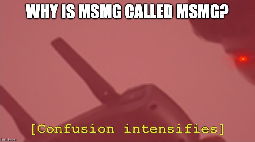 Confusion intensifies. | WHY IS MSMG CALLED MSMG? | image tagged in confusion intensifies,tag my ass | made w/ Imgflip meme maker