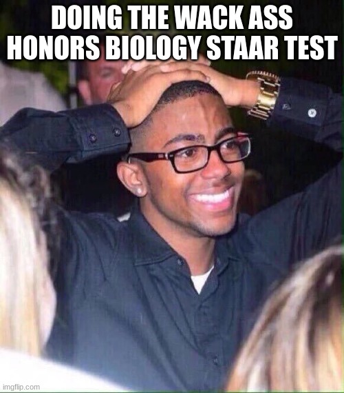 Hands on head | DOING THE WACK ASS HONORS BIOLOGY STAAR TEST | image tagged in hands on head | made w/ Imgflip meme maker