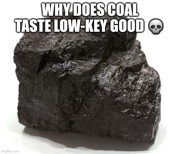 Coal  | WHY DOES COAL TASTE LOW-KEY GOOD 💀 | image tagged in coal | made w/ Imgflip meme maker