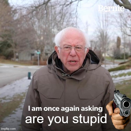 Bernie I Am Once Again Asking For Your Support | are you stupid | image tagged in memes,bernie i am once again asking for your support | made w/ Imgflip meme maker