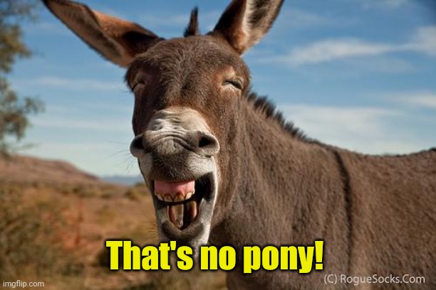 Donkey Jackass Braying | That's no pony! | image tagged in donkey jackass braying | made w/ Imgflip meme maker