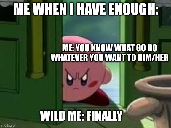 Me when I had enough | ME WHEN I HAVE ENOUGH:; ME: YOU KNOW WHAT GO DO WHATEVER YOU WANT TO HIM/HER; WILD ME: FINALLY | image tagged in pissed off kirby,relatable | made w/ Imgflip meme maker