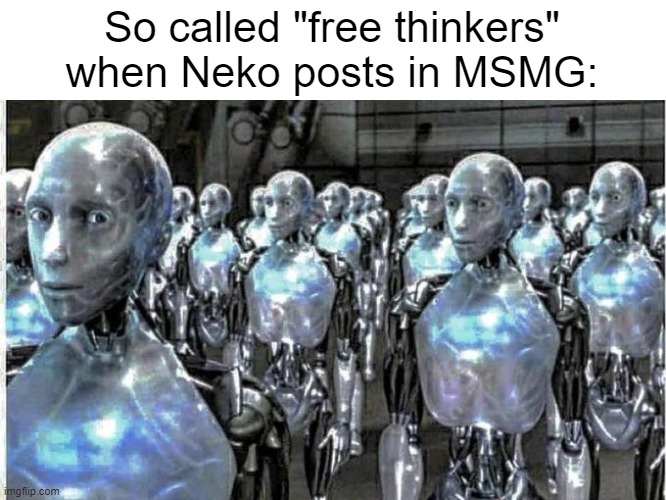 "YOU SHOULD-" | So called "free thinkers" when Neko posts in MSMG: | image tagged in so called free thinkers | made w/ Imgflip meme maker
