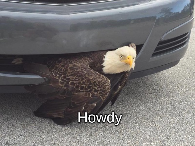 eagle car | Howdy | image tagged in eagle car | made w/ Imgflip meme maker