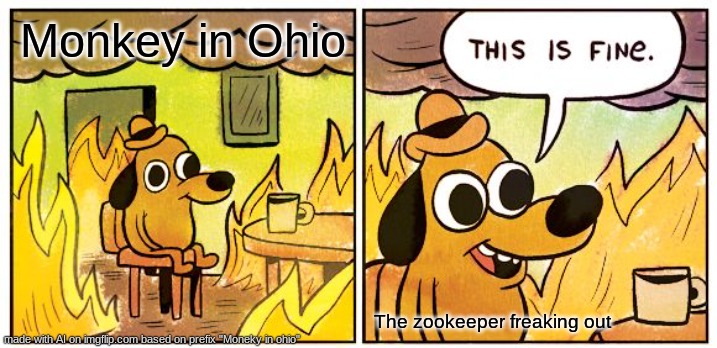 Funny | Monkey in Ohio; The zookeeper freaking out | image tagged in memes,this is fine | made w/ Imgflip meme maker